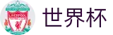 2026世界杯竞猜-官方授权平台